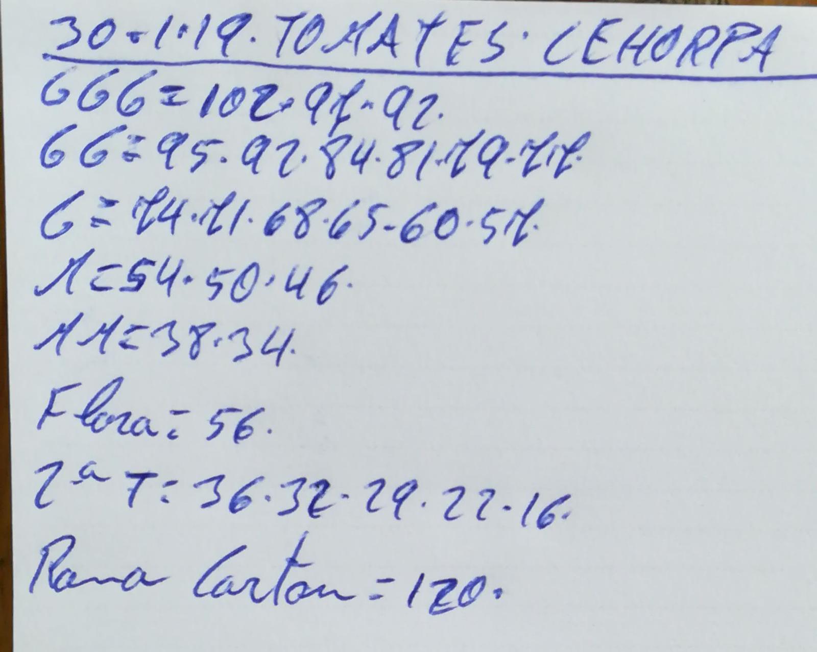 Subasta hortofrutícola Costa de Almería Cehorpa Tomates 30 de Enero 2019