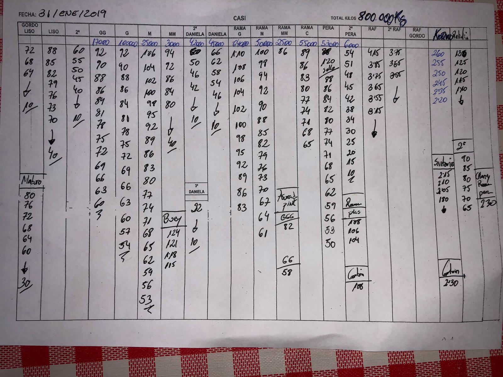 Subasta hortofrutícola CASI 31 de Enero 2019