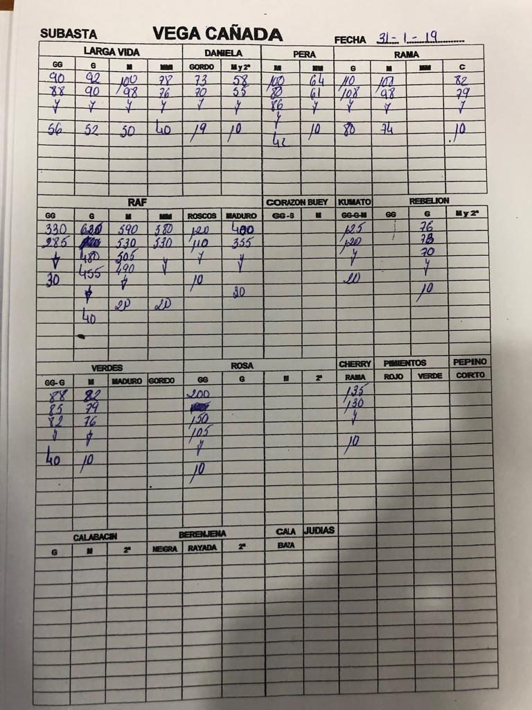 Subasta hortofrutícola Vegacañada 31 de Enero 2019