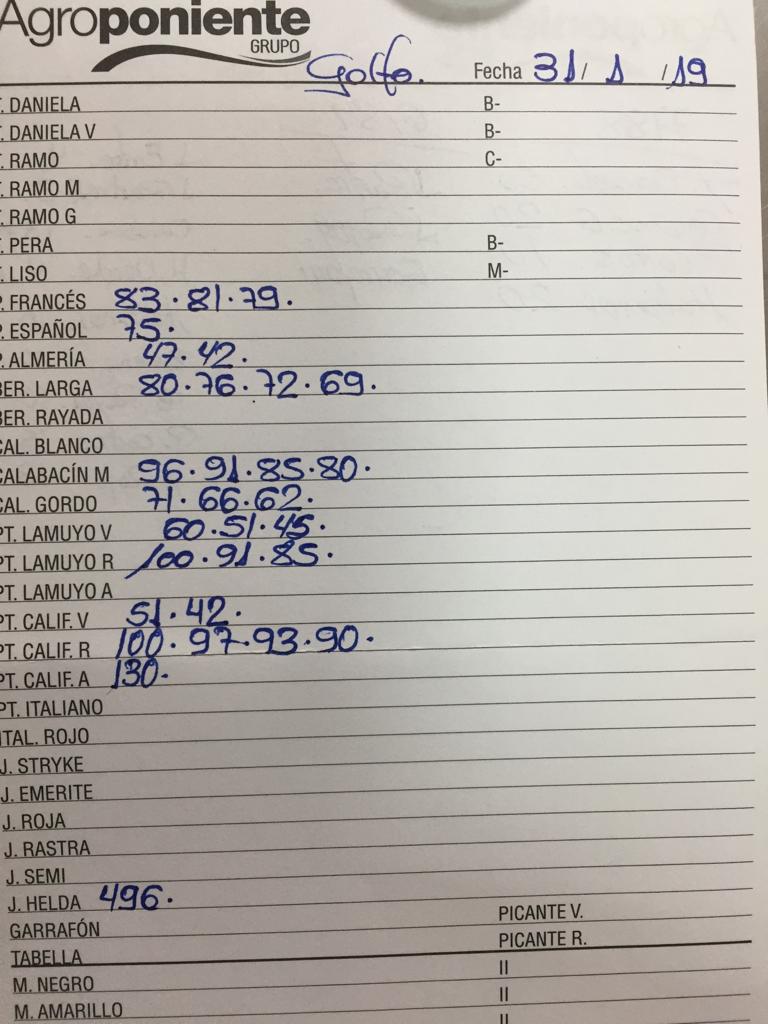 Subasta hortofrutícola Agroponiente El Golfo 31 de Enero 2019