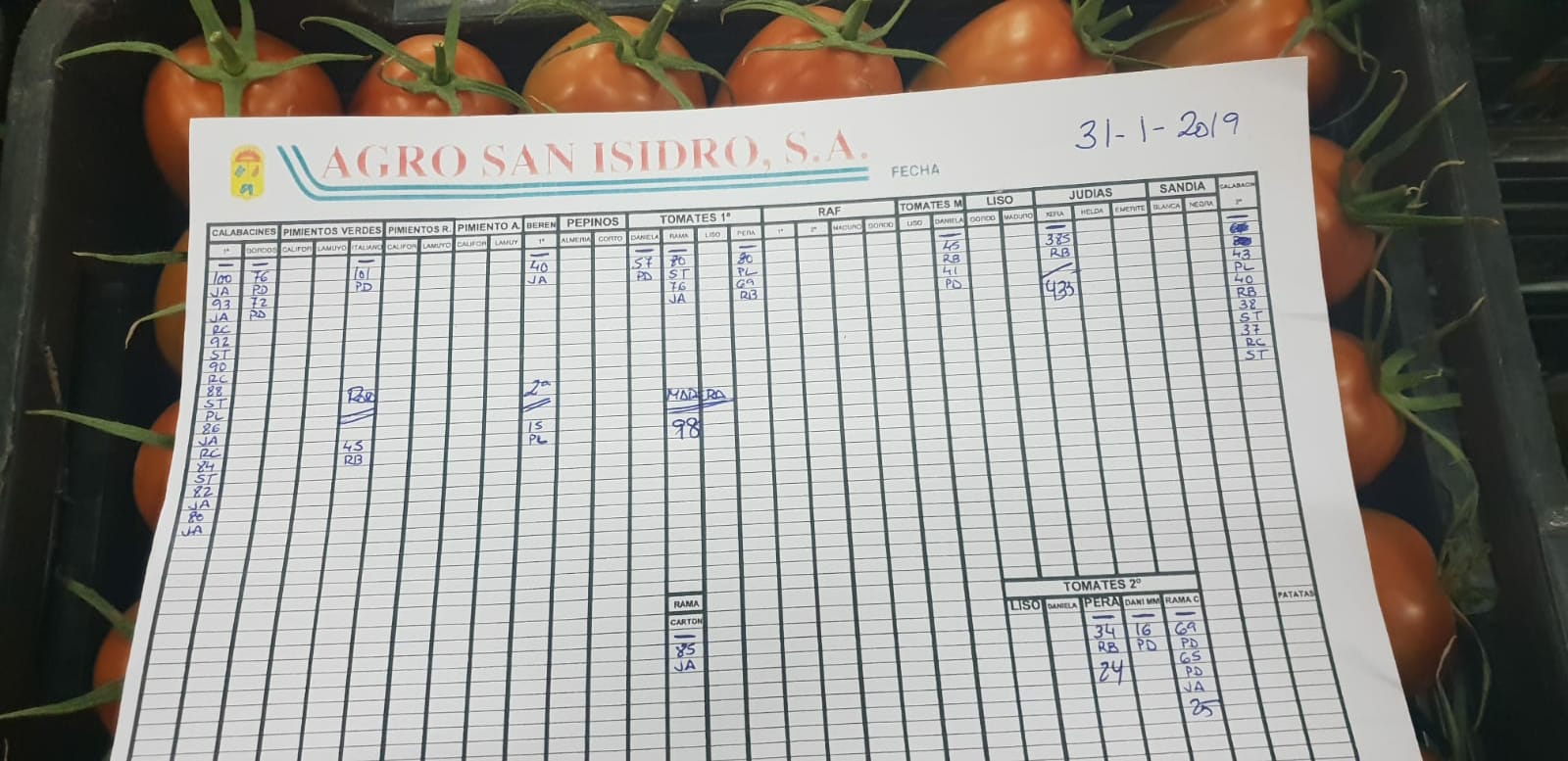 Subasta hortofrutícola Agro San Isidro 31 de Enero 2019