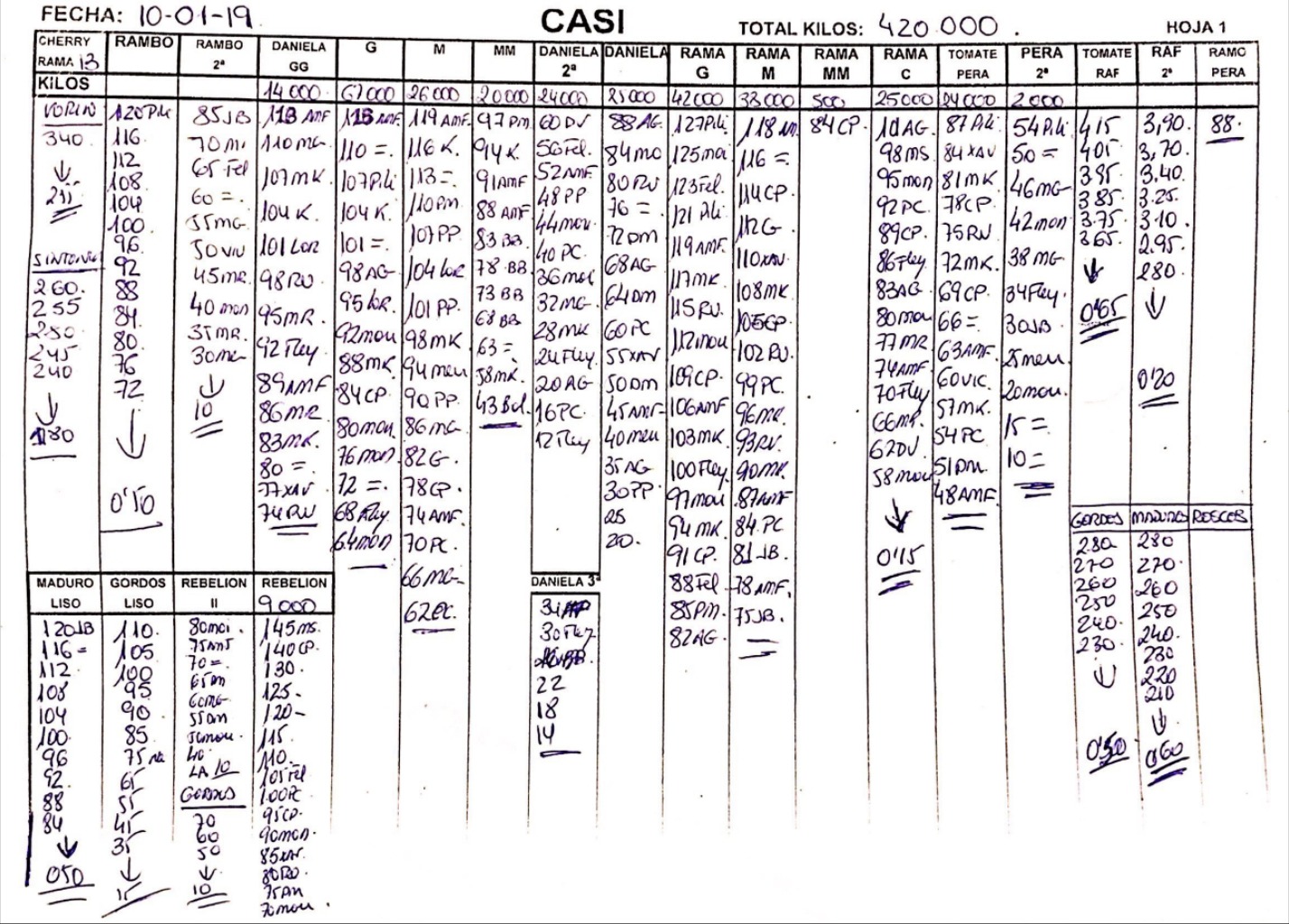 Subasta hortofrutícola CASI 10 de Enero 2019
