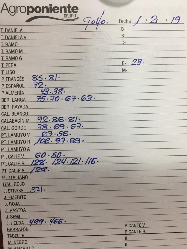 Subasta hortofrutícola Agroponiente El Golfo 1 de Enero 2019