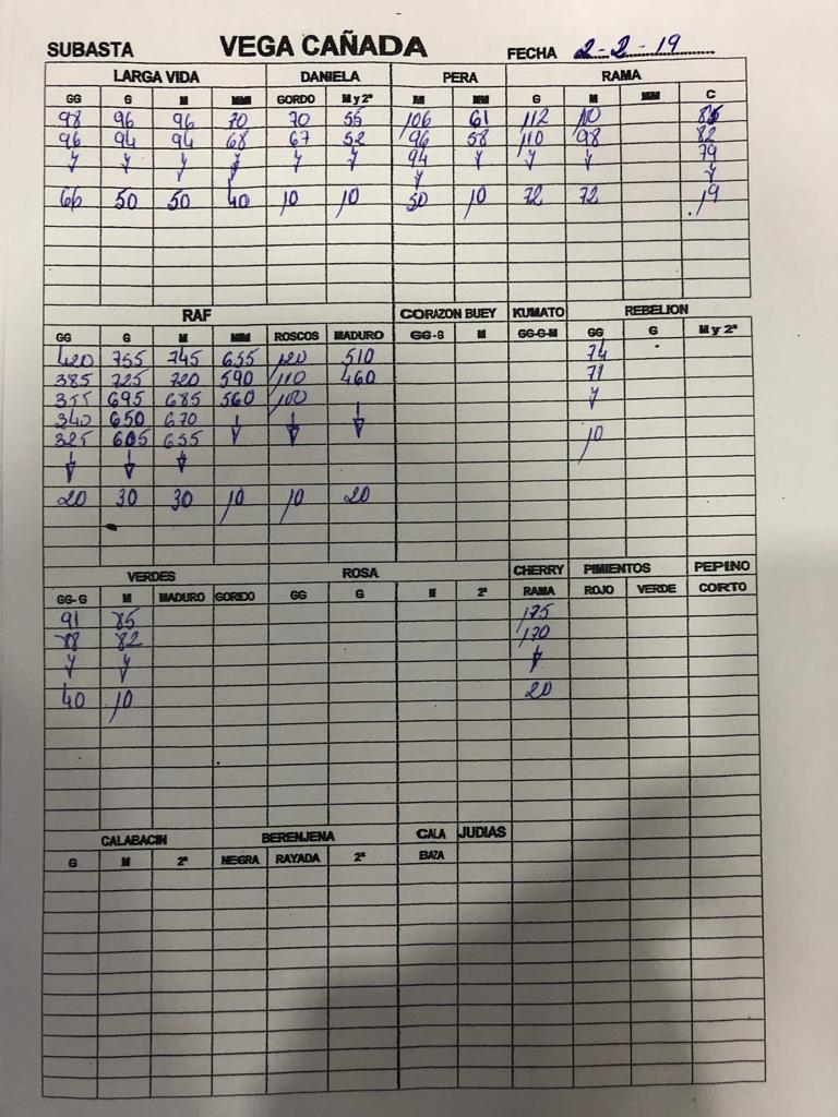 Subasta hortofrutícola Vegacañada 2 de Febrero 2019
