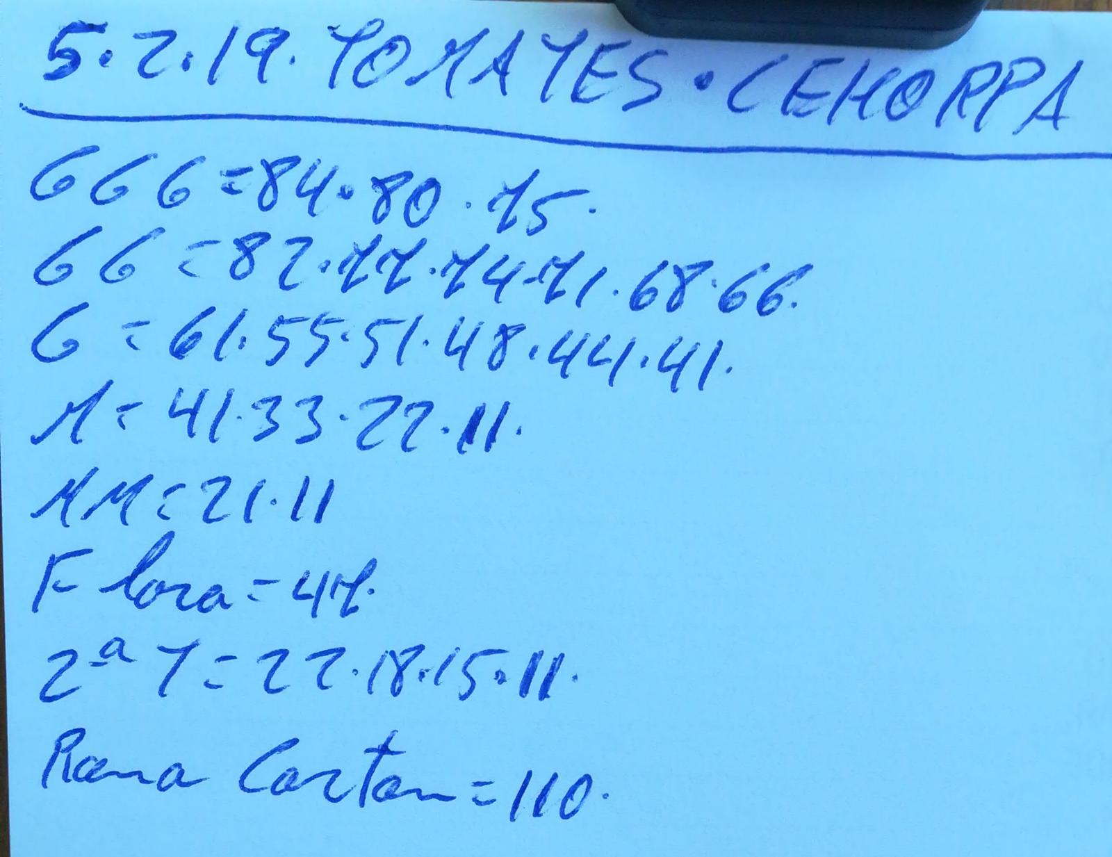 Subasta hortofrutícola Costa de Almería Cehorpa Tomates 5 de Febrero 2019