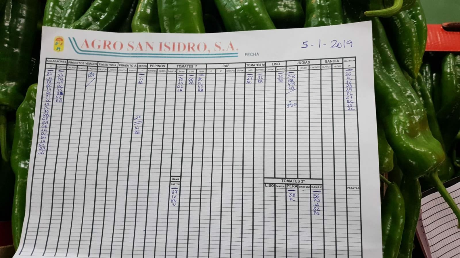 Subasta hortofrutícola Agro San Isidro 5 de Febrero 2019
