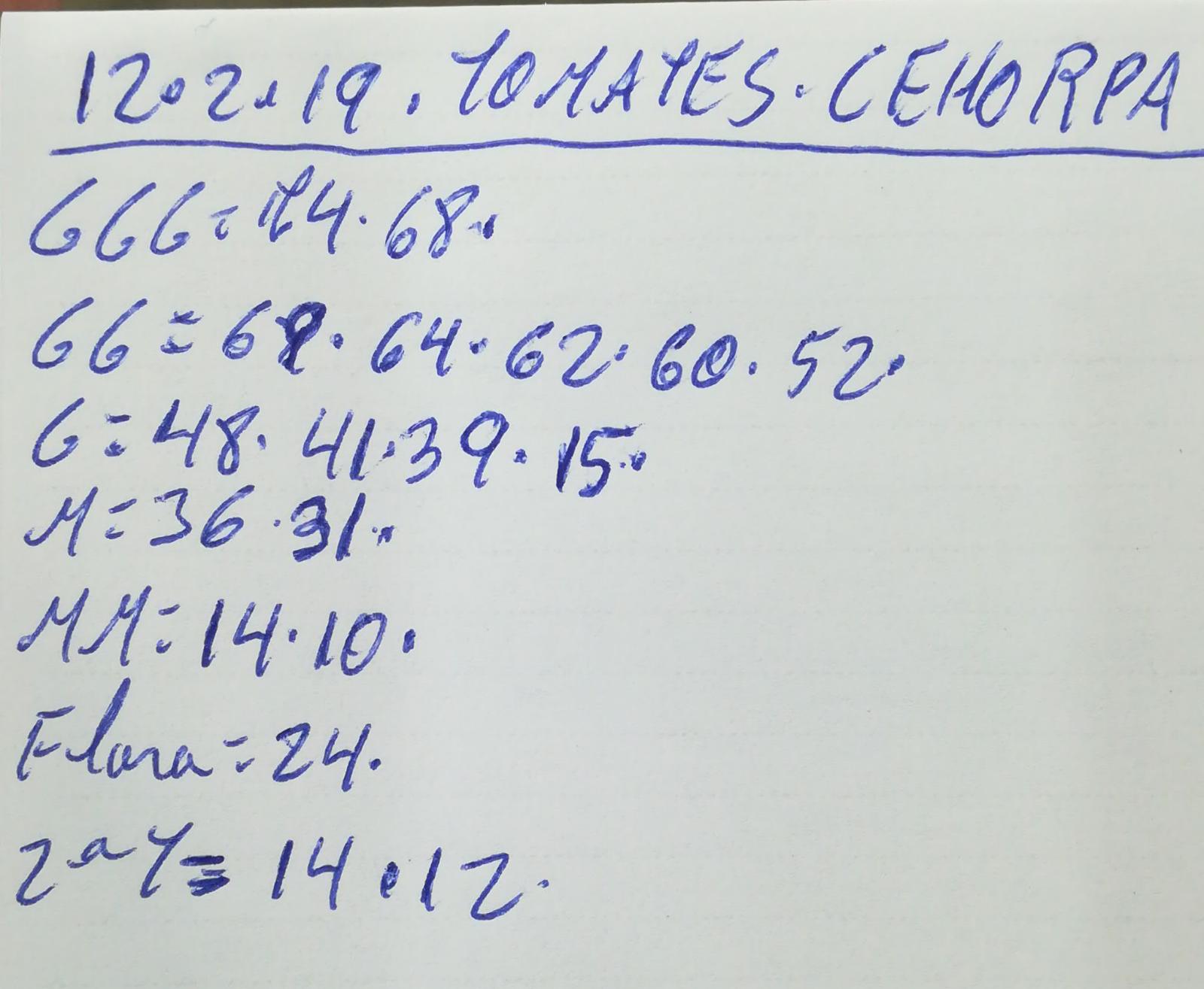 Subasta hortofrutícola Costa de Almería Cehorpa Tomates 12 de Febrero 2019