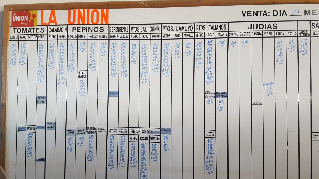 Pizarra La Unión La Redonda 13 de Febrero 2019