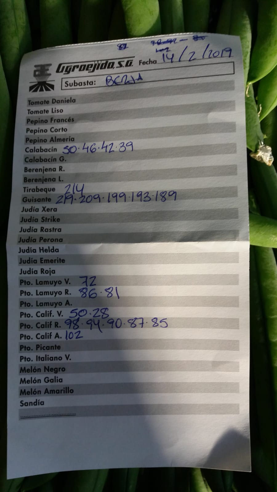 Subasta hortofrutícola AgroEjido Berja 14 de Febrero 2019