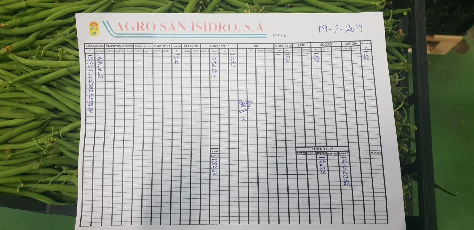 Subasta hortofrutícola Agro San Isidro 19 de Febrero 2019