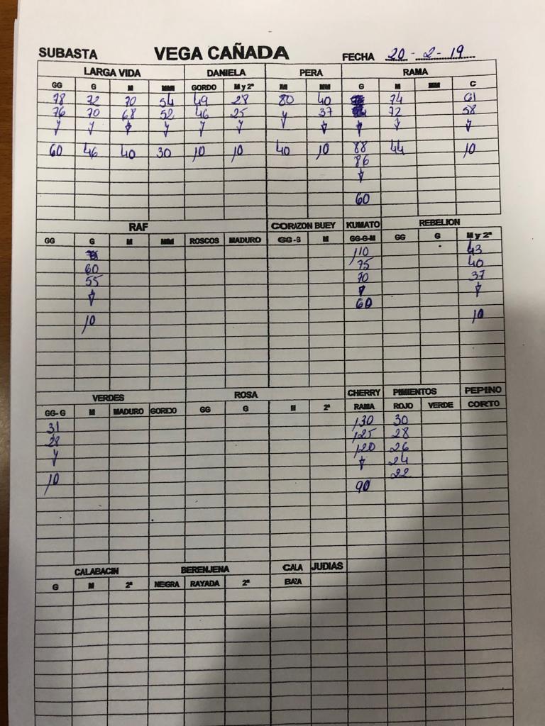 Subasta hortofrutícola Vegacañada 20 de Febrero 2019
