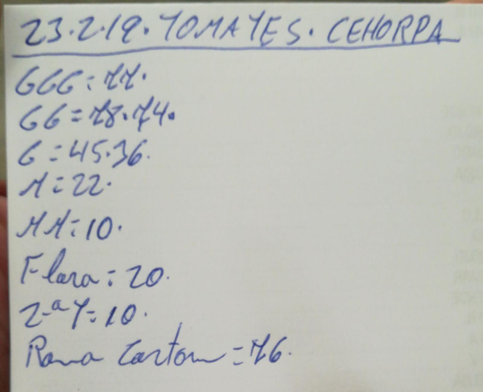 Subasta hortofrutícola Costa de Almería Cehorpa Tomates 23 de Febrero 2019