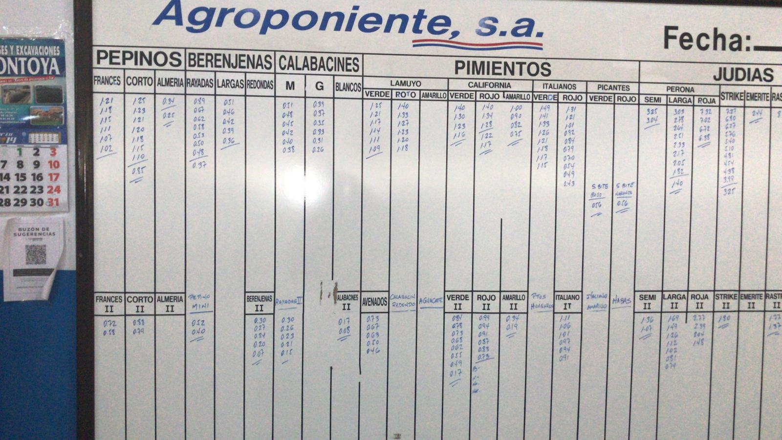 Pizarra Agroponiente La Redonda 6 de Marzo 2019