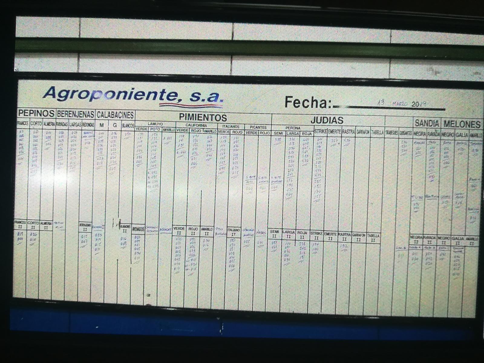 Pizarra Agroponiente La Redonda 13 de Marzo 2019
