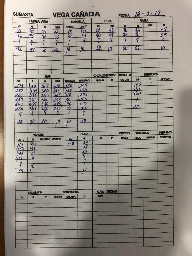 Subasta hortofrutícola Vegacañada 16 de Marzo 2019