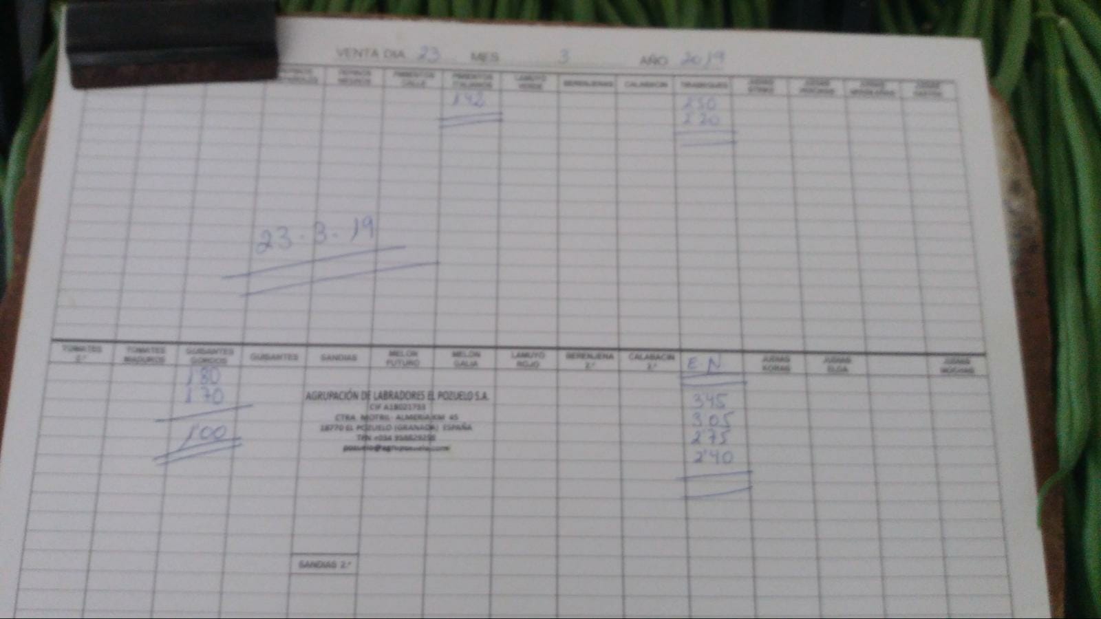 Subasta hortofrutícola El Pozuelo Albuñol 23 de Marzo 2019