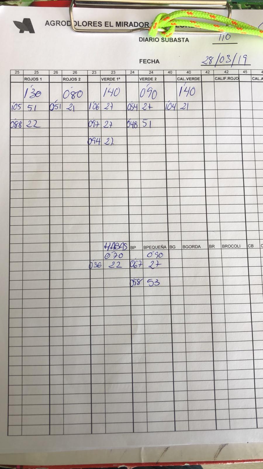 Subasta hortofrutícola Agrodolores Dolores 28 de Marzo 2019