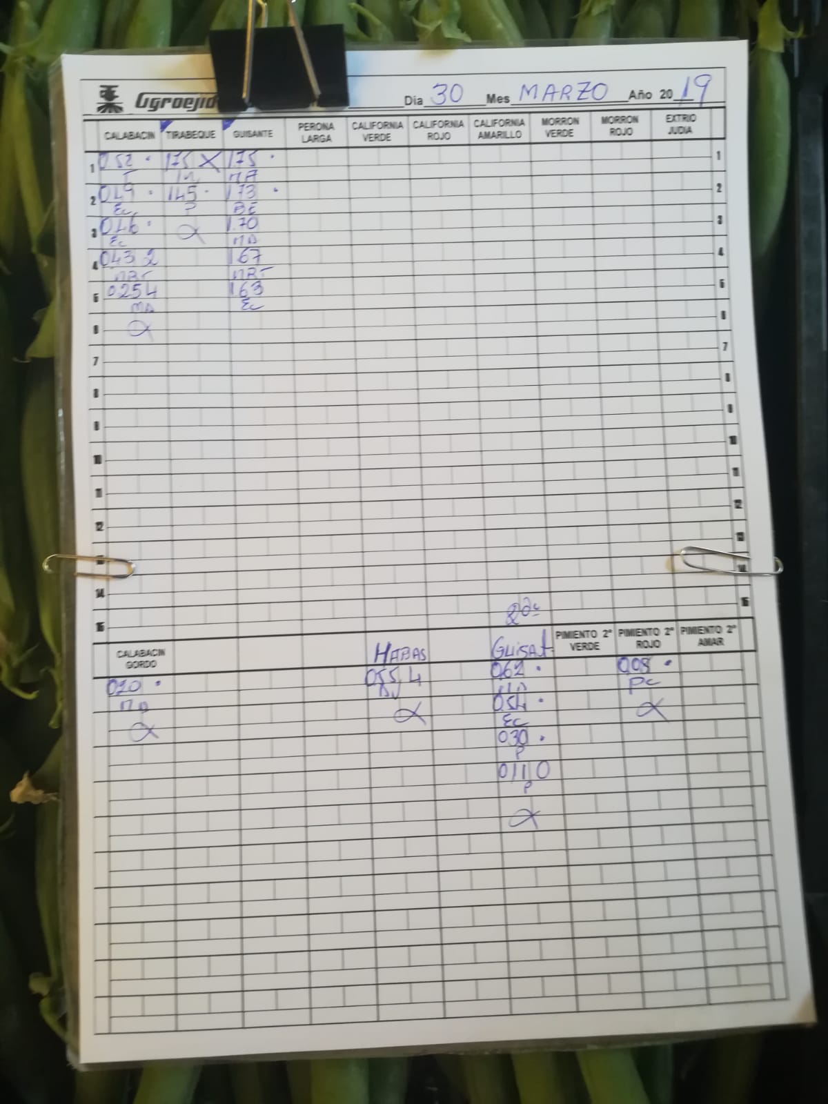 Subasta hortofrutícola AgroEjido Berja 30 de Marzo 2019