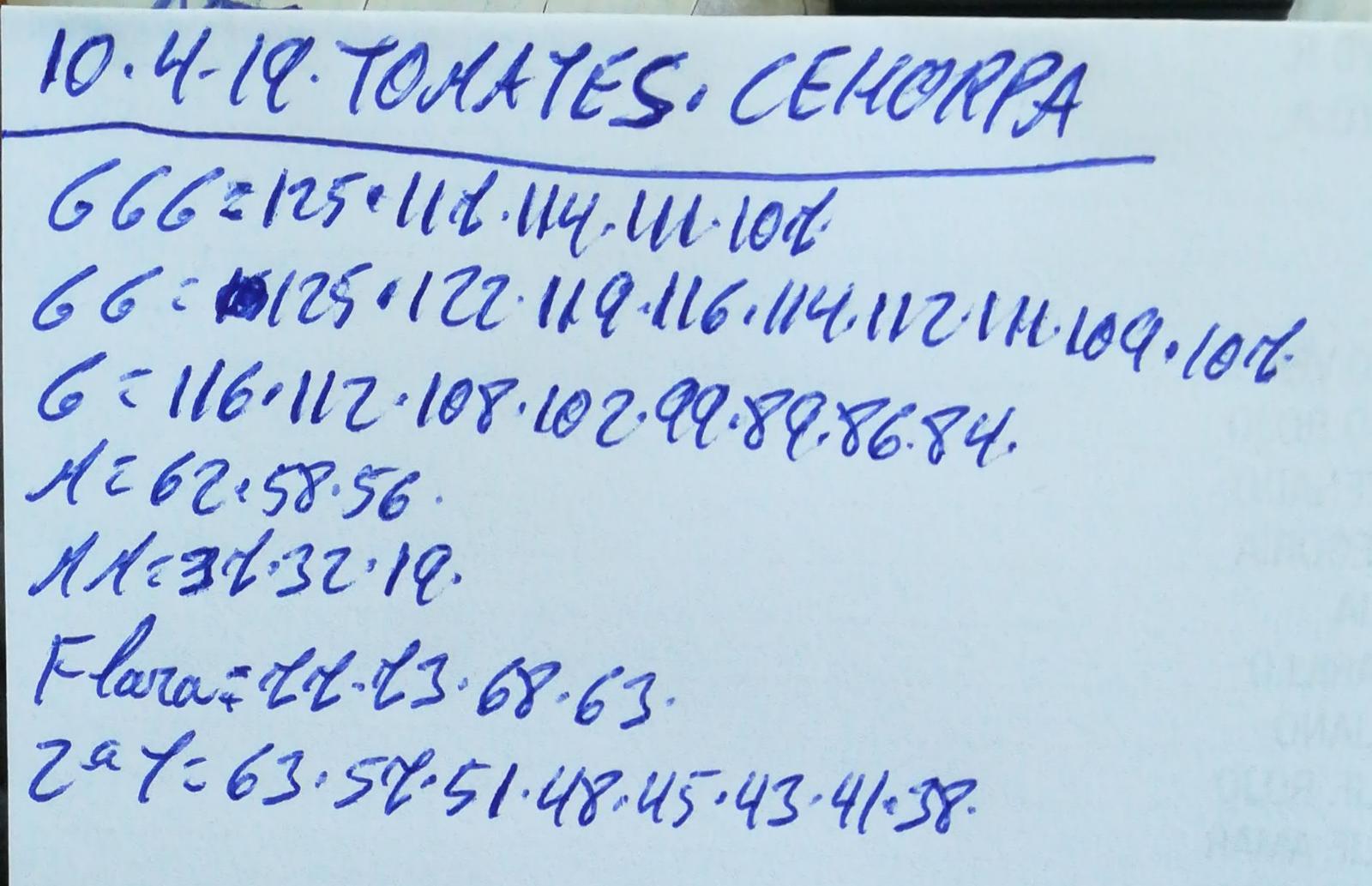 Subasta hortofrutícola Costa de Almería Cehorpa Tomates 10 de Abril 2019