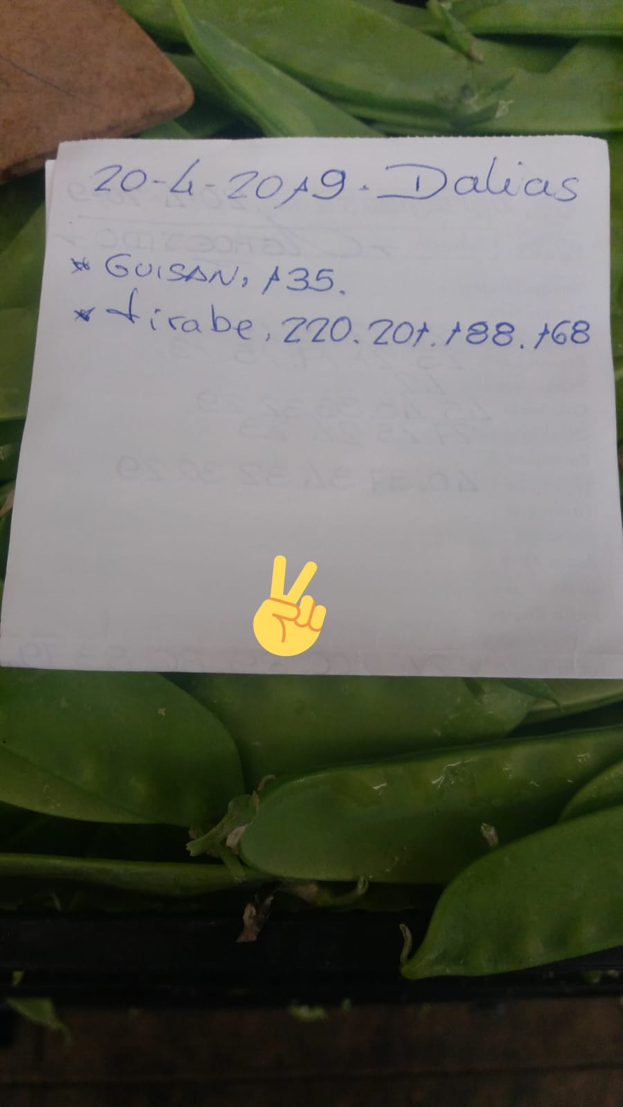 Subasta hortofrutícola AgroEjido Dalias 20 de Abril 2019