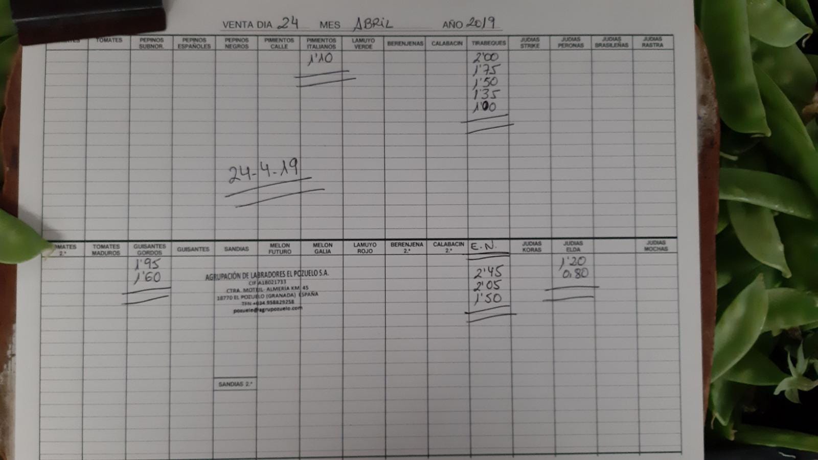 Subasta hortofrutícola El Pozuelo Albuñol 24 de Abril 2019