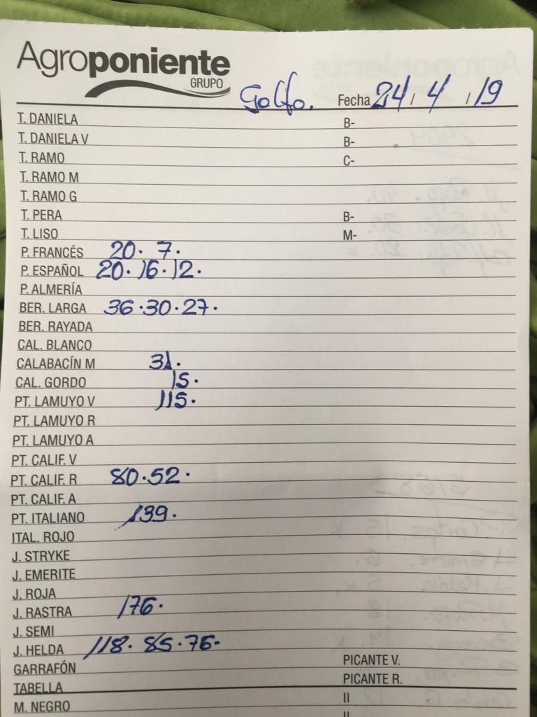 Subasta hortofrutícola Agroponiente El Golfo 24 de Abril 2019