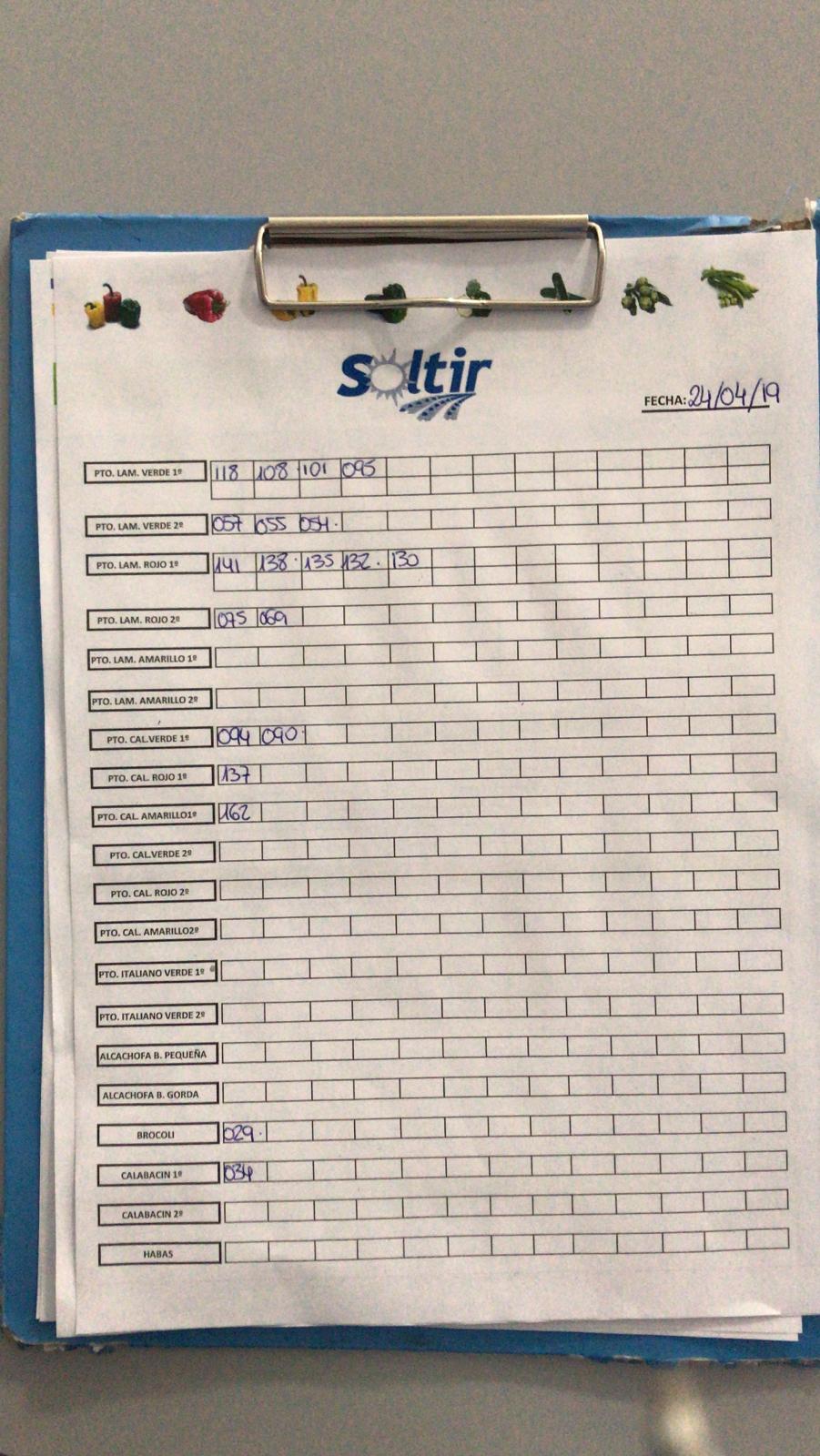 Subasta hortofrutícola Soltir 24 de Abril 2019