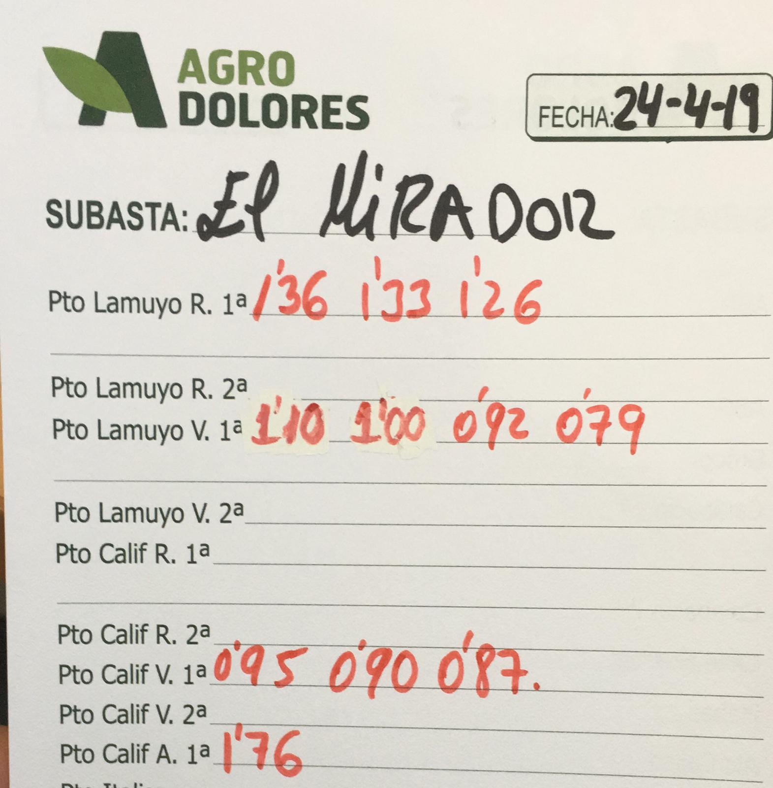 Subasta hortofrutícola Agrodolores El Mirador 24 de Abril 2019