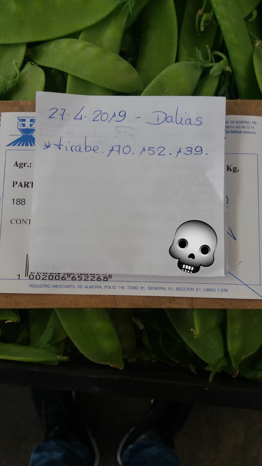 Subasta hortofrutícola AgroEjido Dalias 27 de Abril 2019