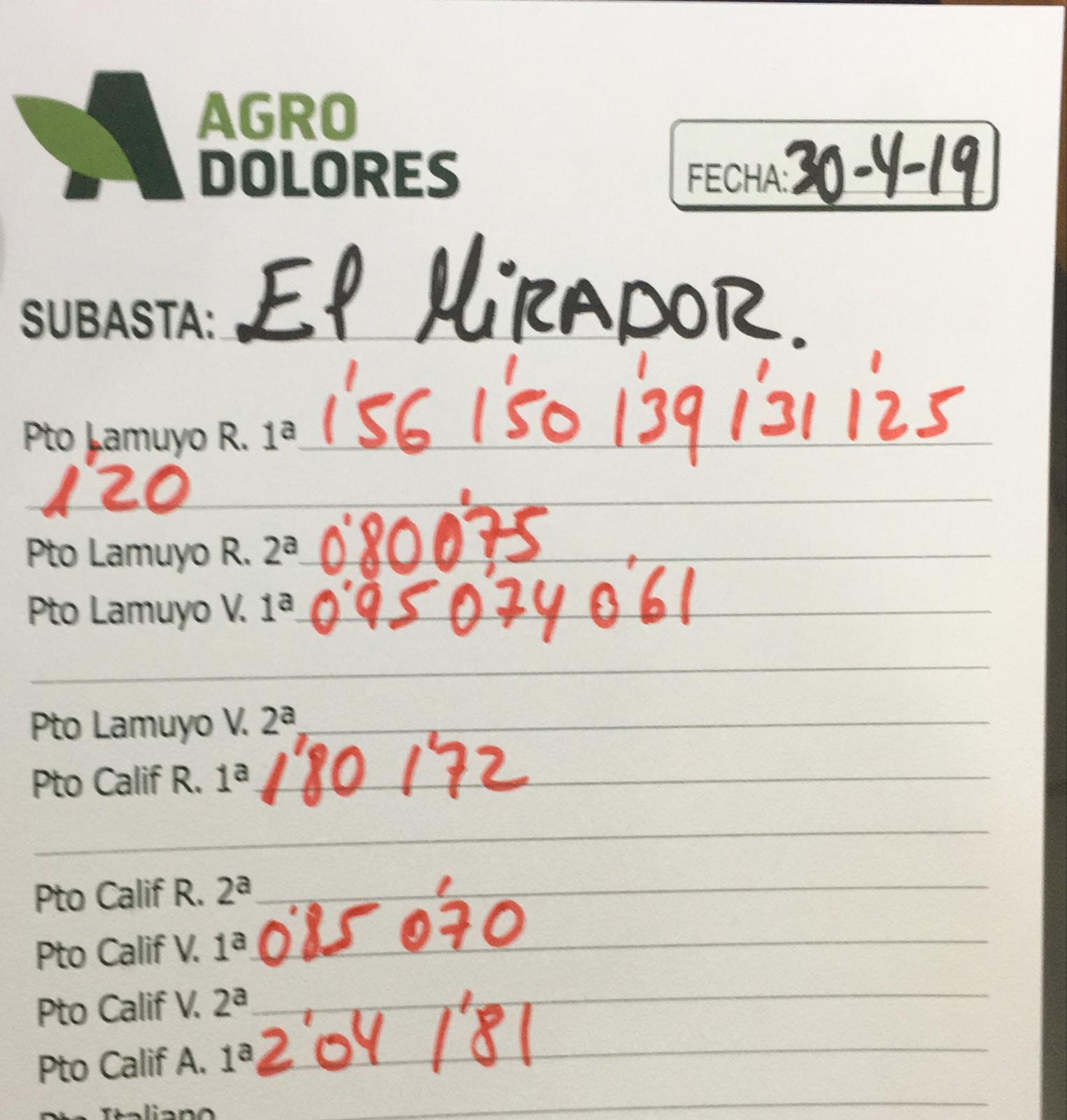 Subasta hortofrutícola Agrodolores El Mirador 30 de Abril 2019