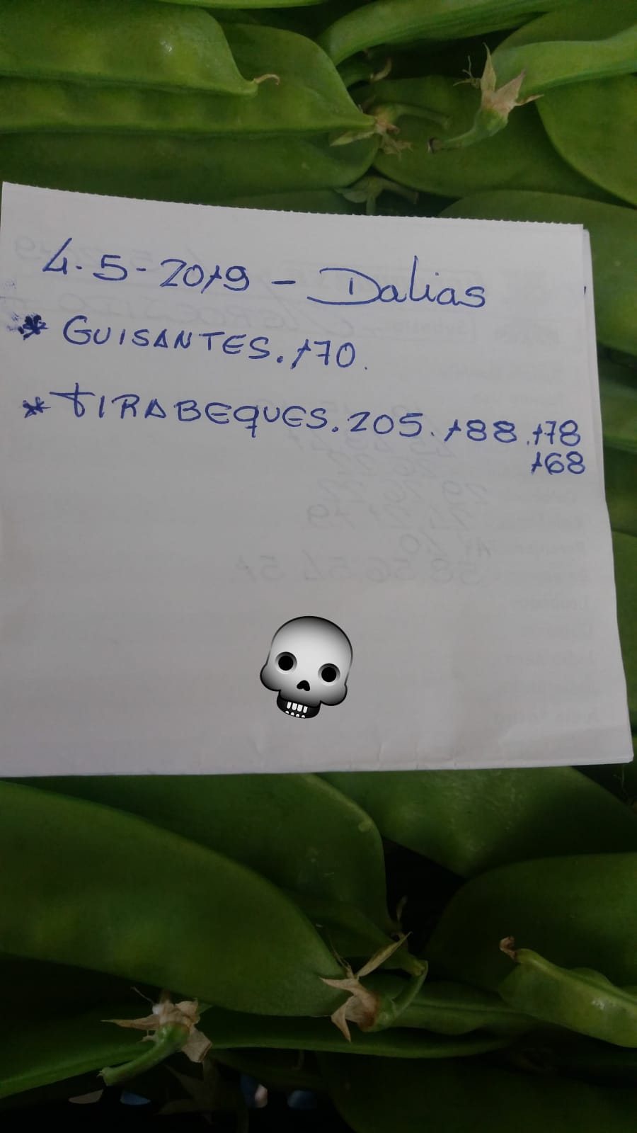 Subasta hortofrutícola AgroEjido Dalias 4 de Mayo 2019