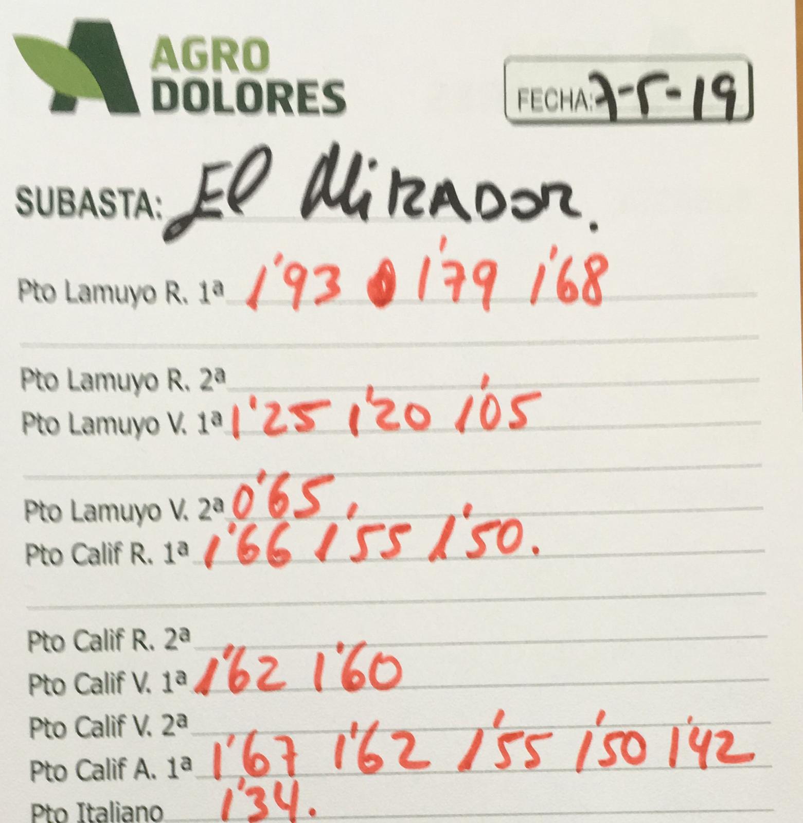 Subasta hortofrutícola Agrodolores El Mirador 7 de Mayo 2019
