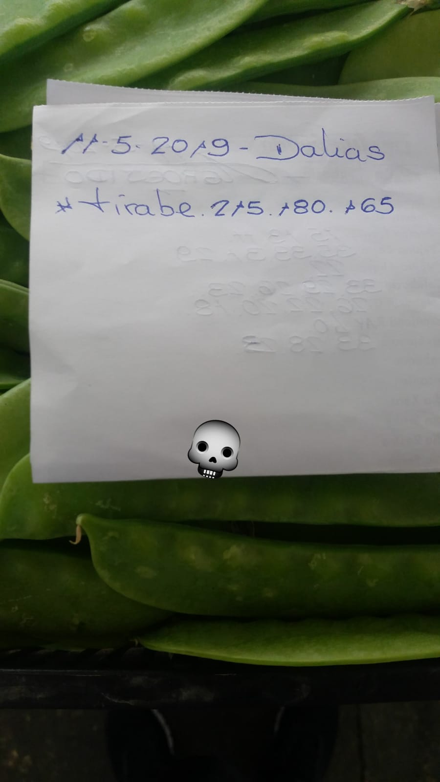 Subasta hortofrutícola AgroEjido Dalias 11 de Mayo 2019