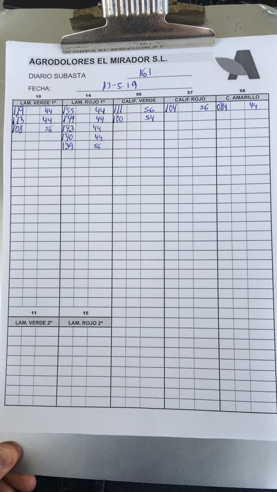 Subasta hortofrutícola Agrodolores El Mirador 13 de Mayo 2019