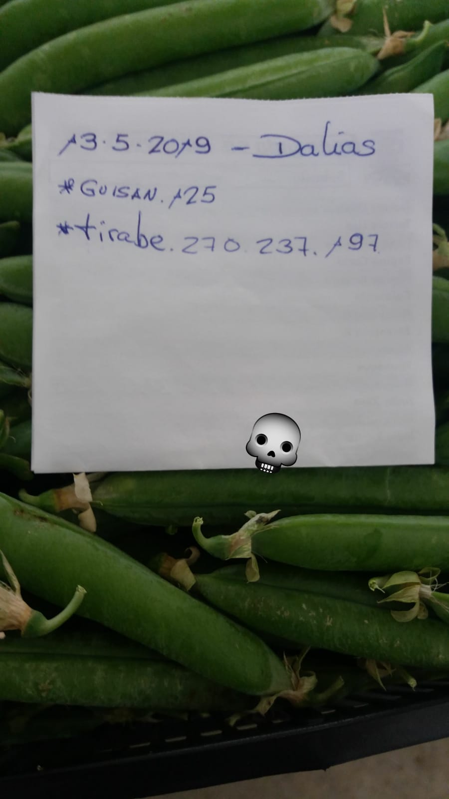 Subasta hortofrutícola AgroEjido Dalias 13 de Mayo 2019