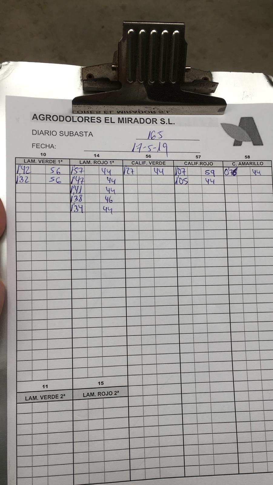 Subasta hortofrutícola Agrodolores El Mirador 17 de Mayo 2019