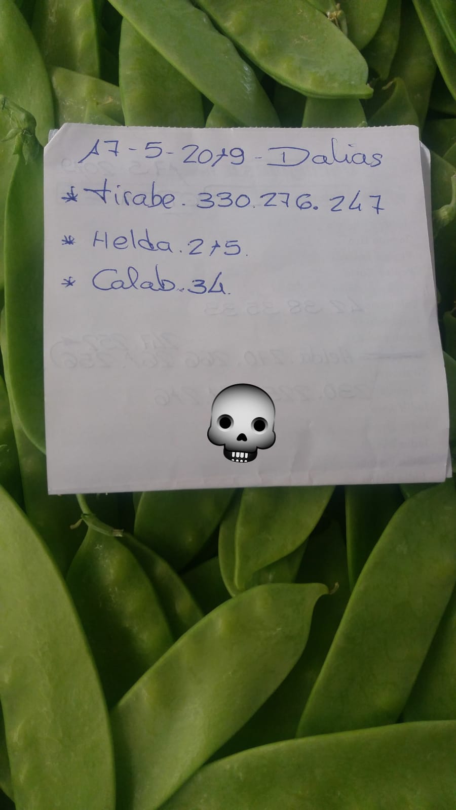 Subasta hortofrutícola AgroEjido Dalias 17 de Mayo 2019