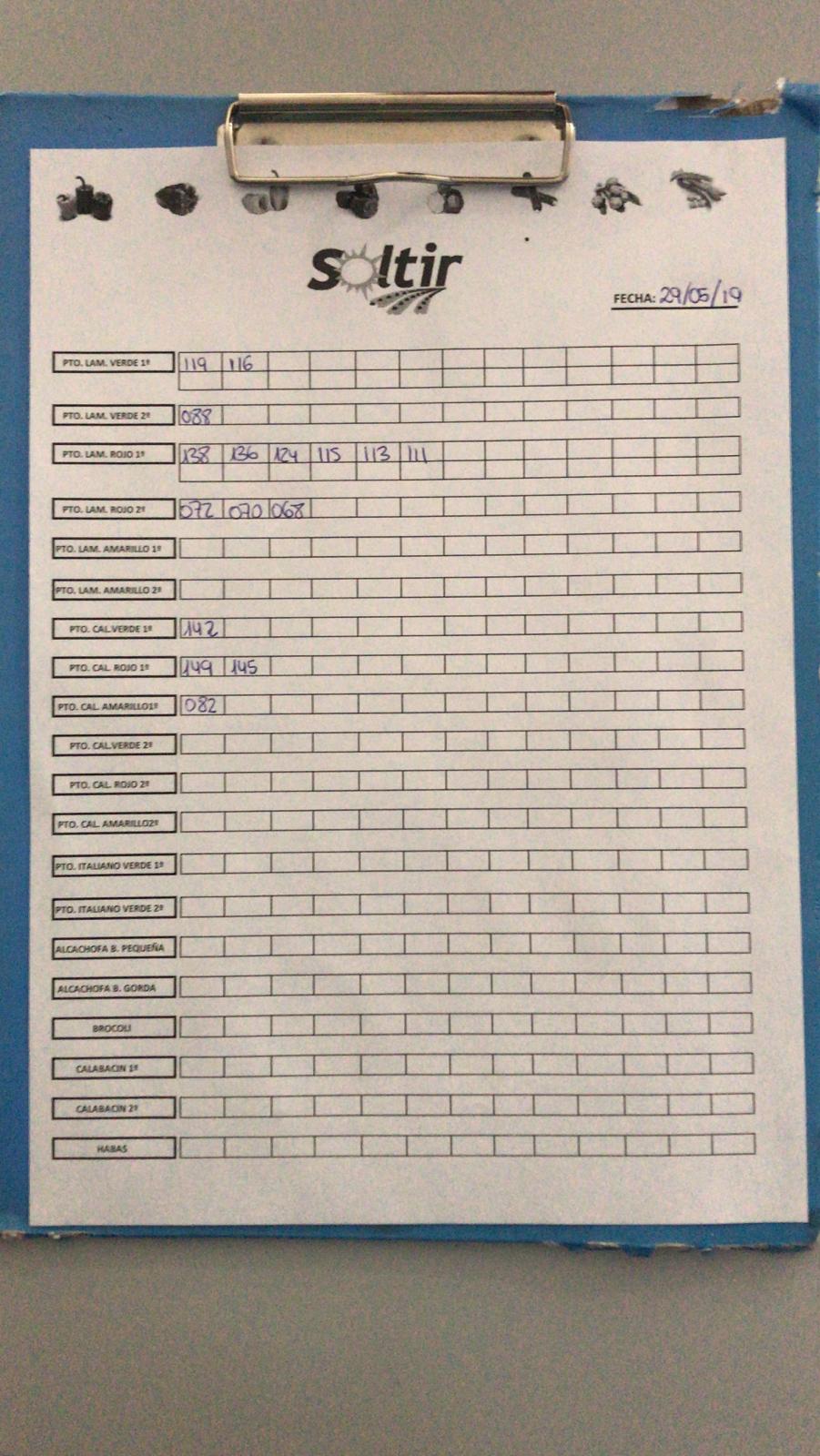 Subasta hortofrutícola Soltir 29 de Mayo 2019