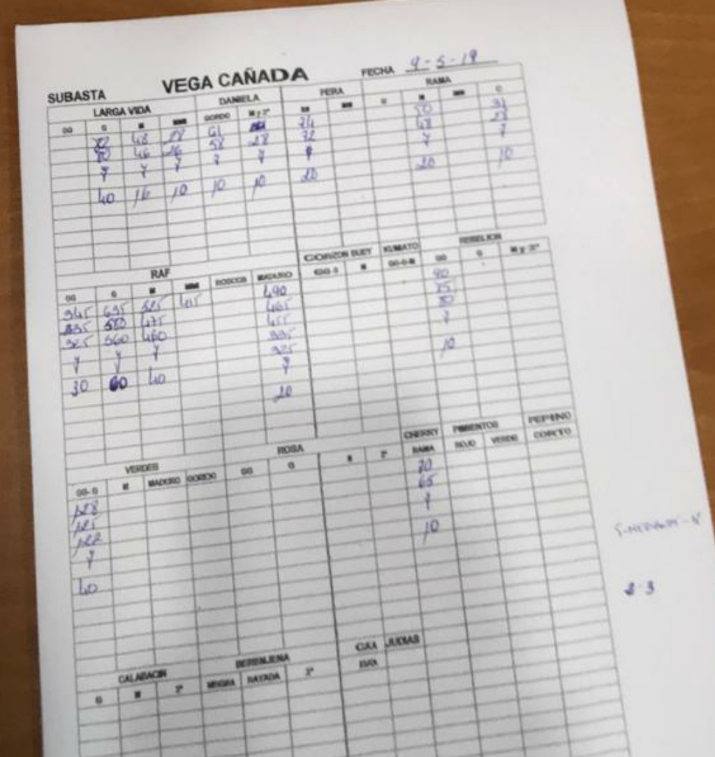 Subasta hortofrutícola Vegacañada 9 de Mayo 2019