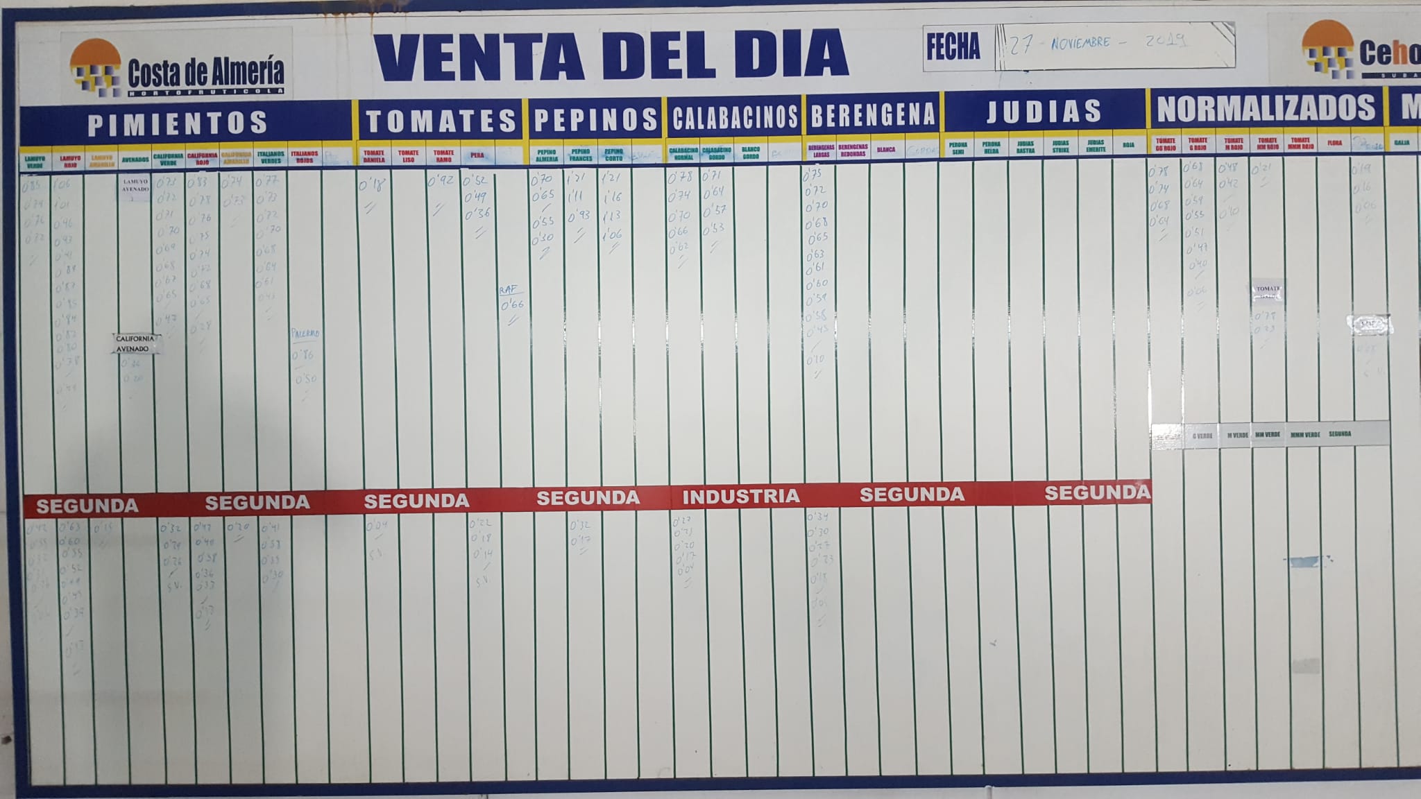 Pizarra Costa de Almería Cehorpa 27 de noviembre 2019
