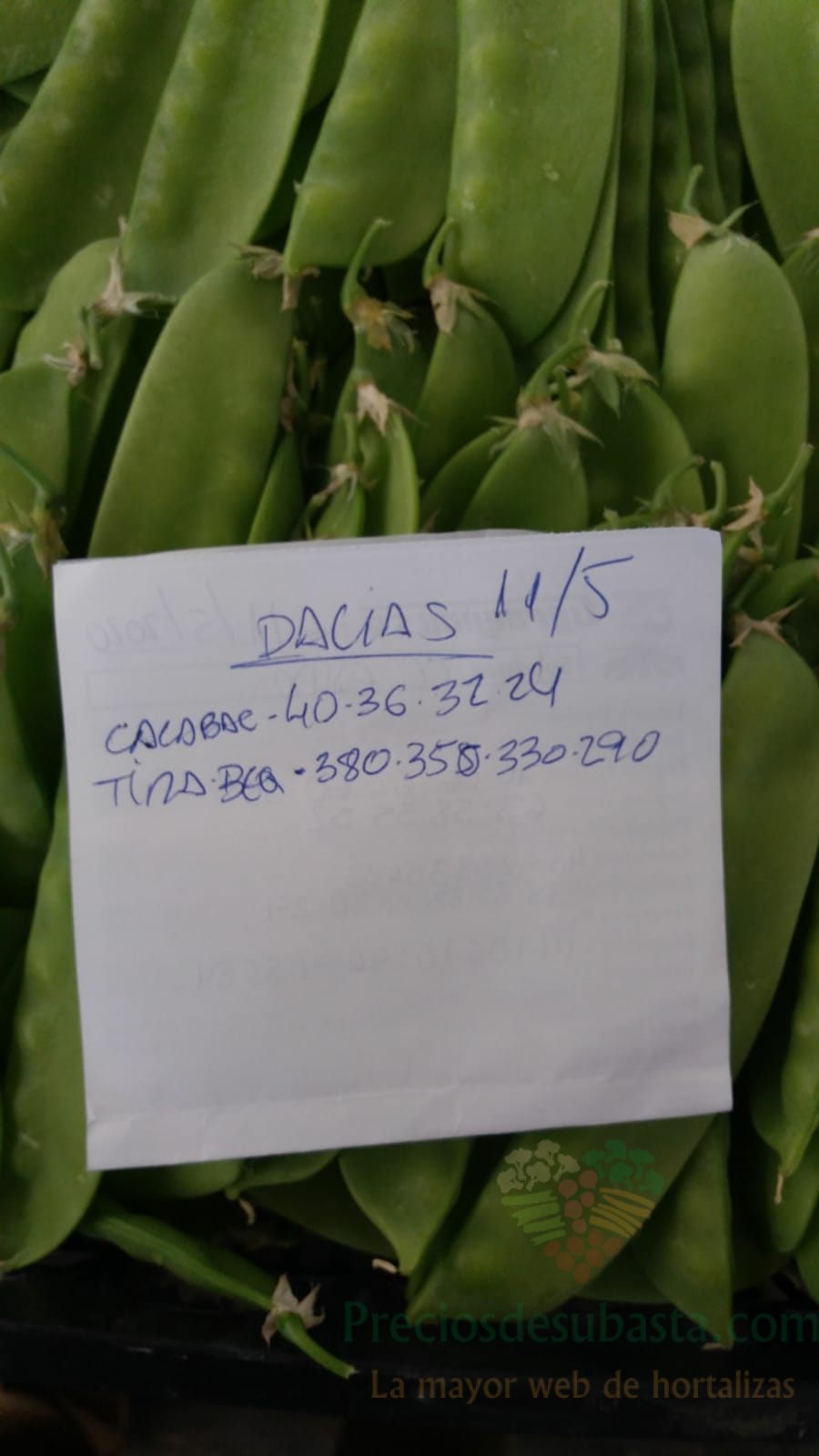 Subasta hortofrutícola AgroEjido Dalias 11 de mayo 2020