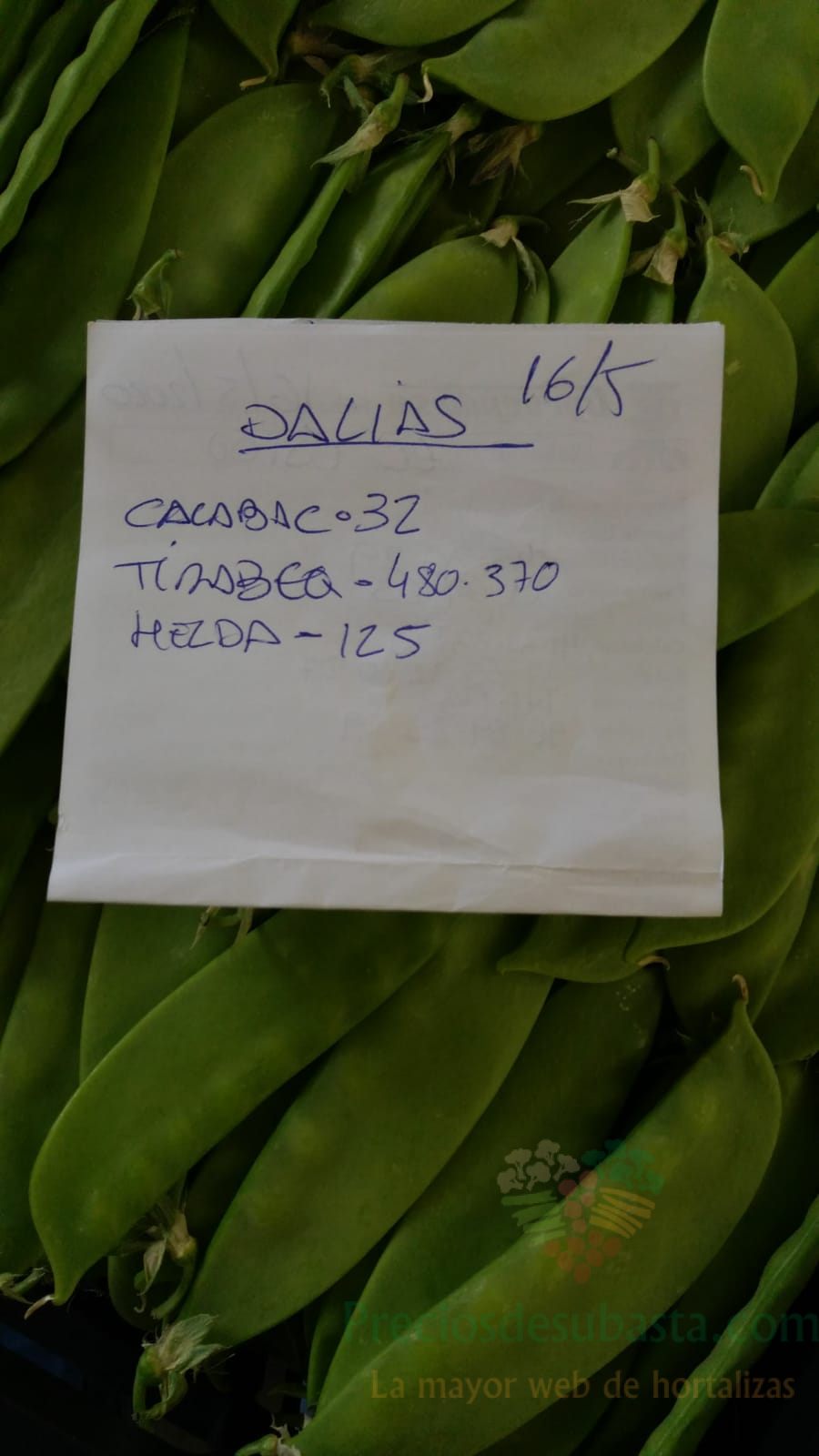Subasta hortofrutícola AgroEjido Dalias 16 de mayo 2020