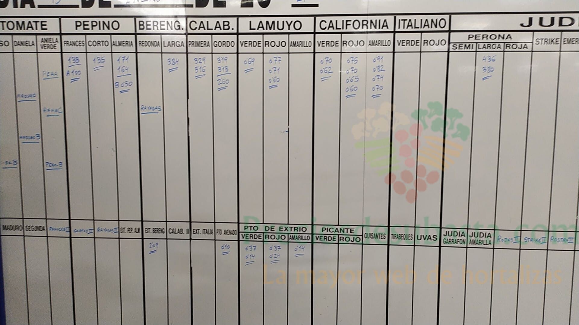 Pizarra Agroponiente El Golfo 15 de enero 2021