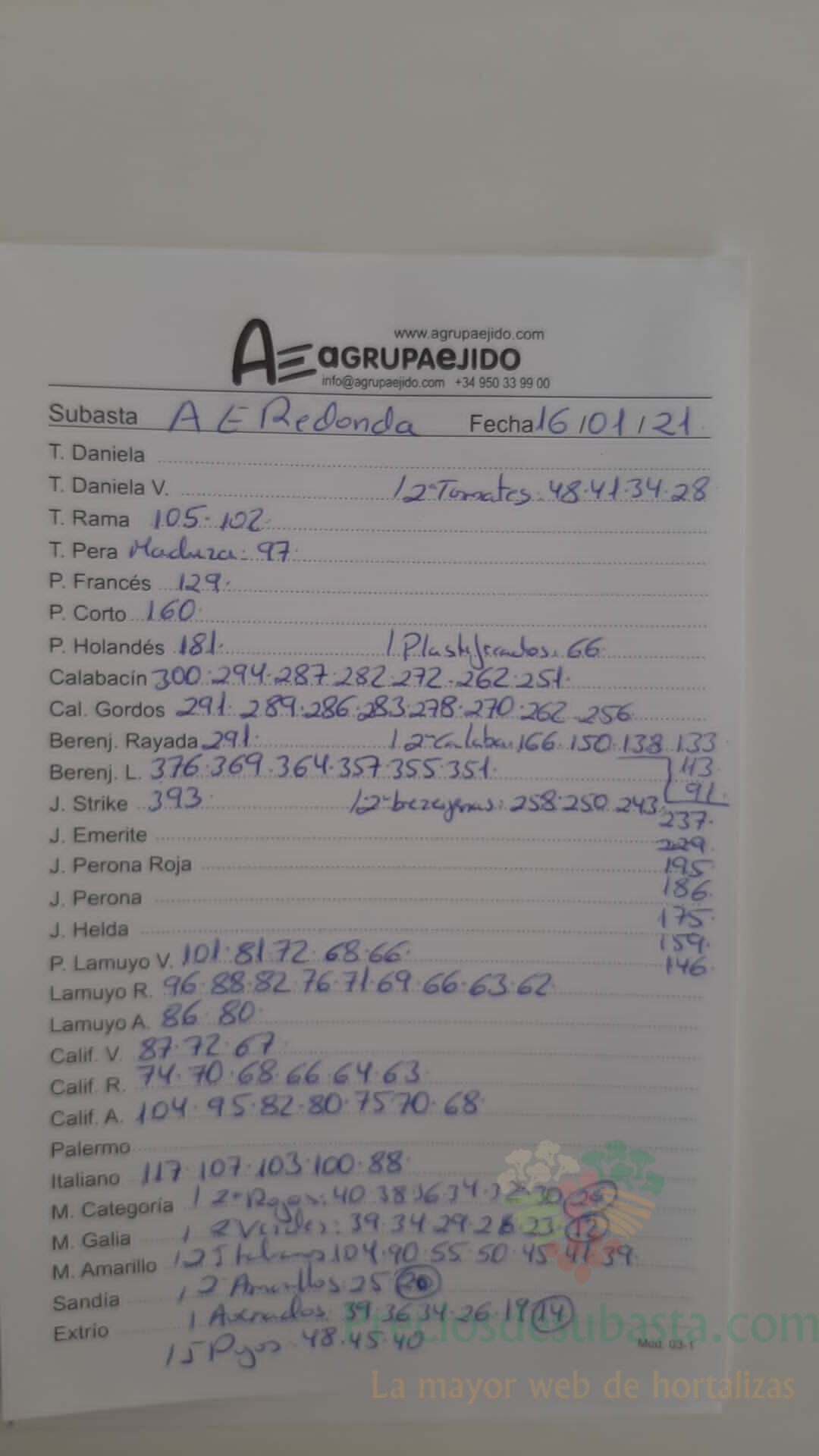 Subasta hortofrutícola AgrupaEjido La Redonda 16 de enero 2021