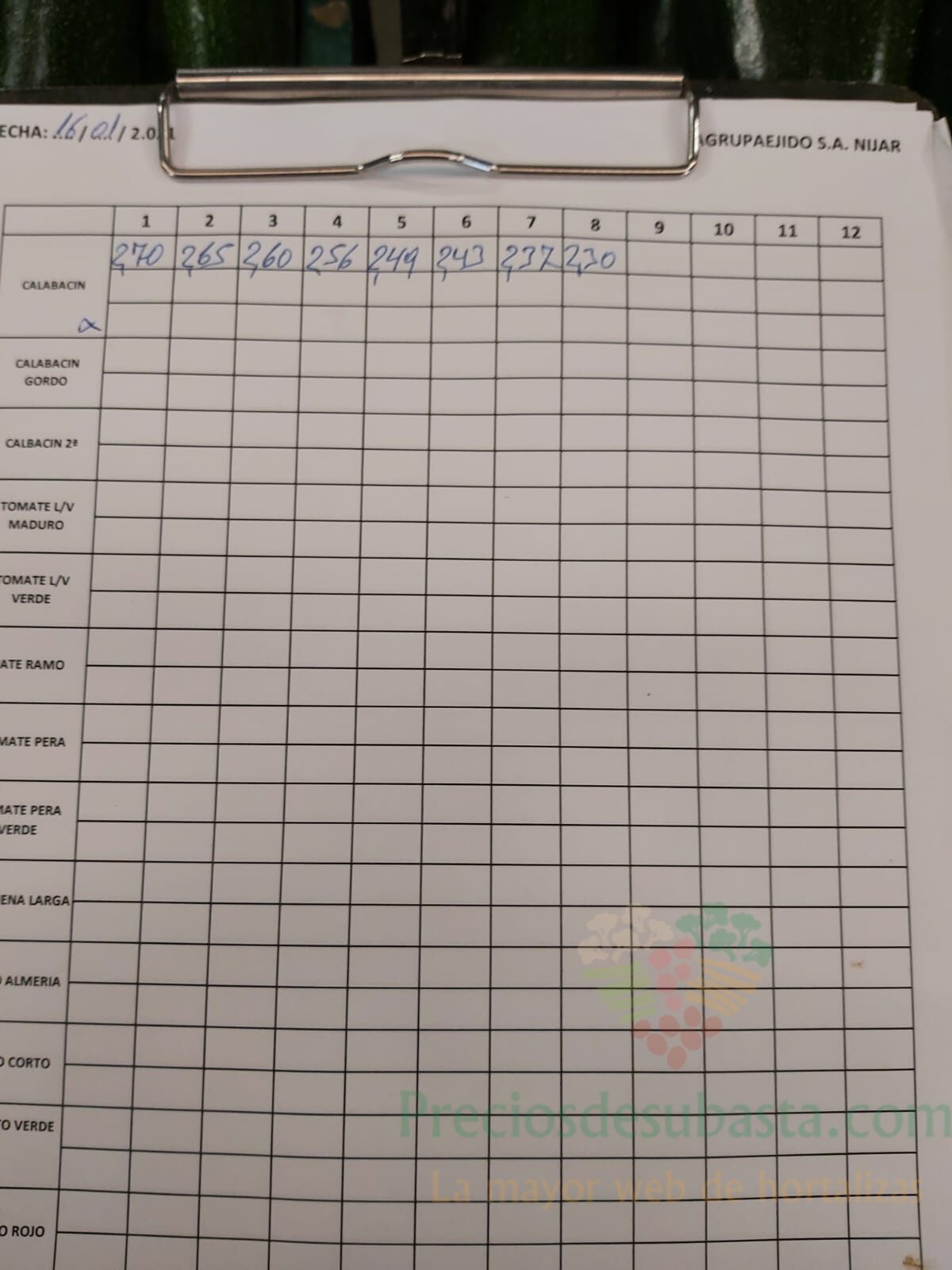 Subasta hortofrutícola AgrupaEjido Níjar 16 de enero 2021