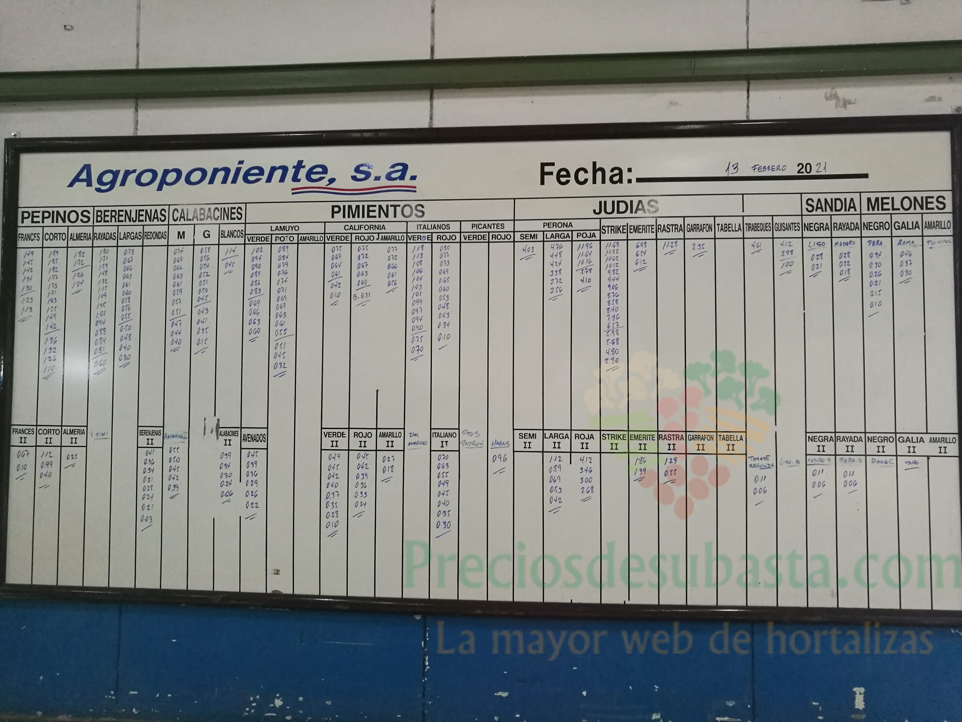 Pizarra Agroponiente La Redonda 13 de febrero 2021