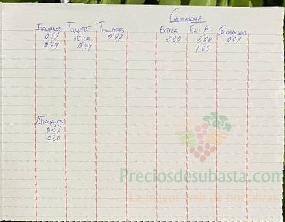 Subasta hortofrutícola Frutas de 5 de mayo – Preciosdesubasta.com
