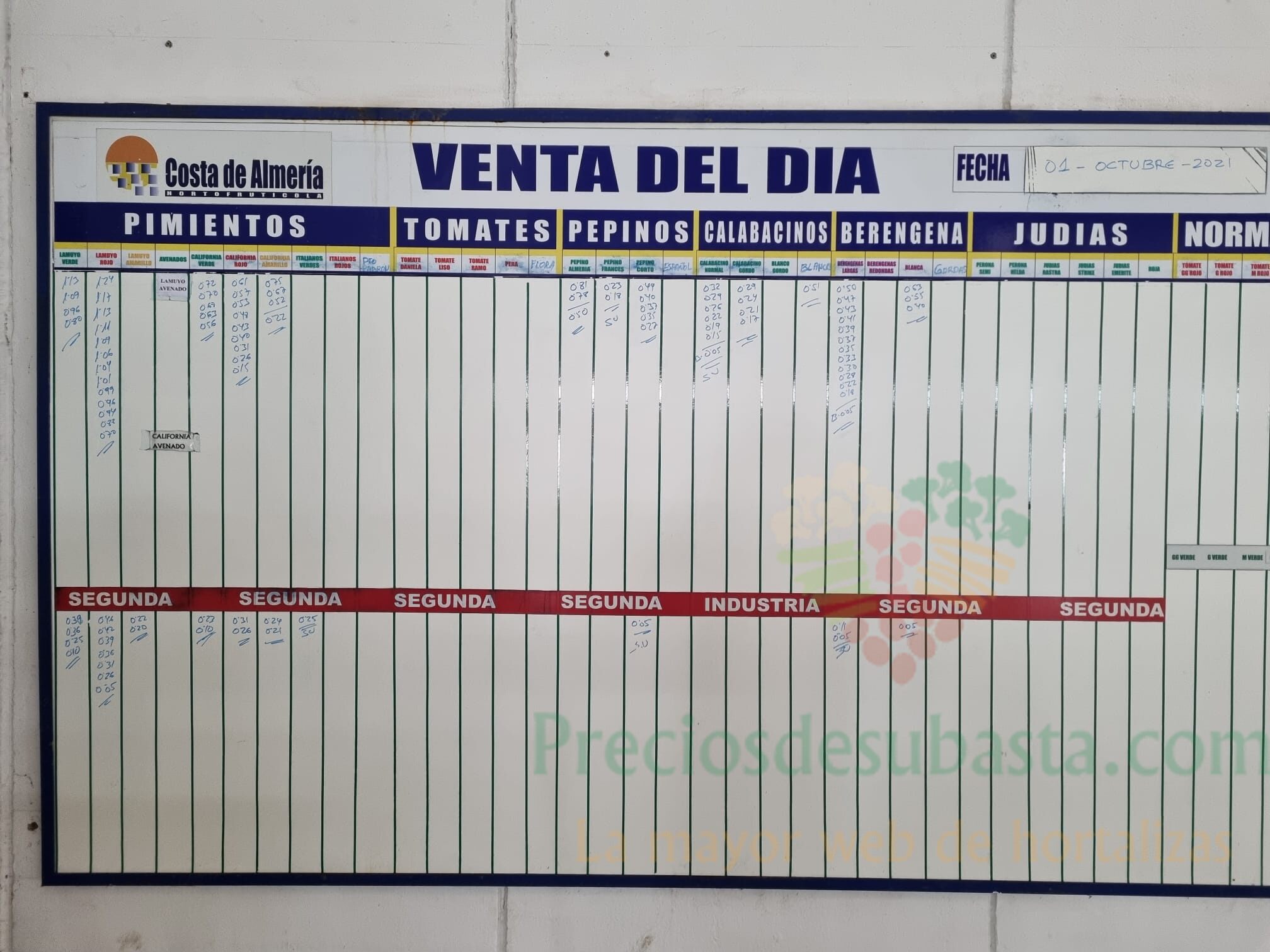 Pizarra Costa de Almería Cehorpa 1 de octubre 2021 