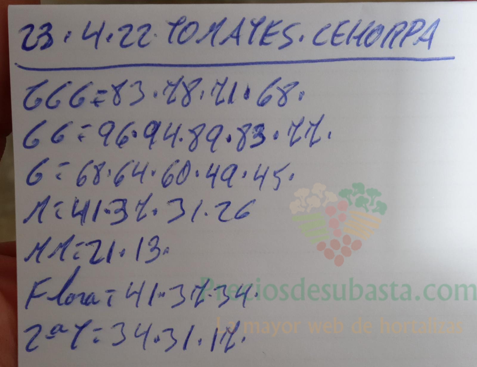 Subasta hortofrutícola Costa de Almería Cehorpa tomate 23 de abril 2022