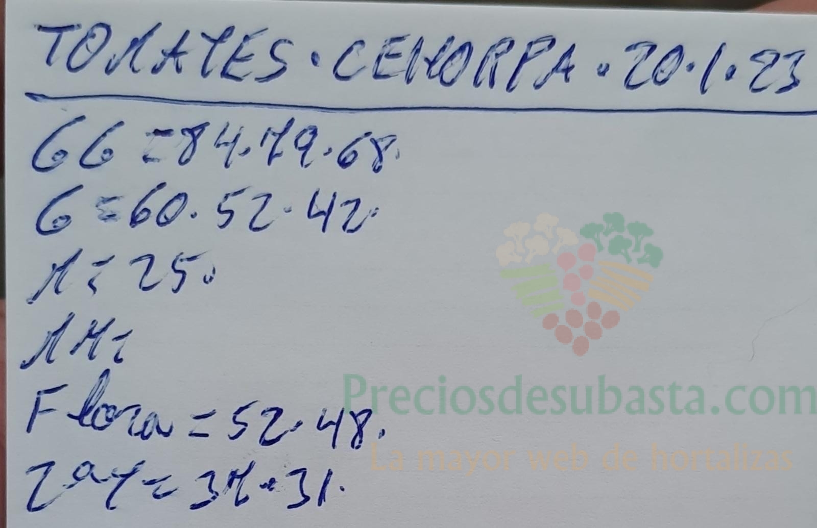 Subasta hortofrutícola Costa de Almería Cehorpa 20 de enero 2023